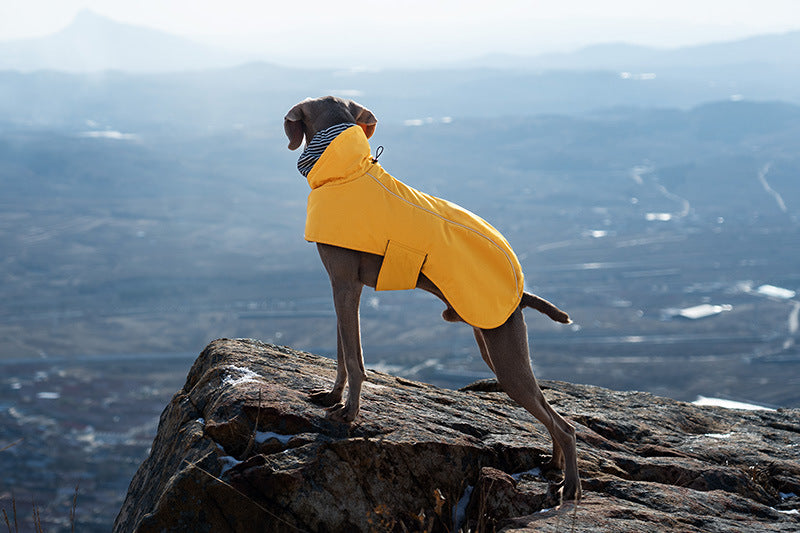 V·PET·B·R Waterproof Dog Winter Coat - Windproof Fleece-Lined Parka with High Neck for Small to Large Dogs (S-2XL) | All-Weather Thermal Cape Jacket
