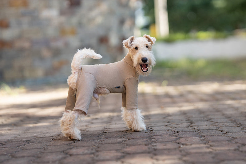 Pet Anti-Shedding Four-Legged Clothes Solid Color Warm Comfortable Dog Clothes Skin-Friendly Multi-Color Four Seasons Base Shirt High Neck Clothes