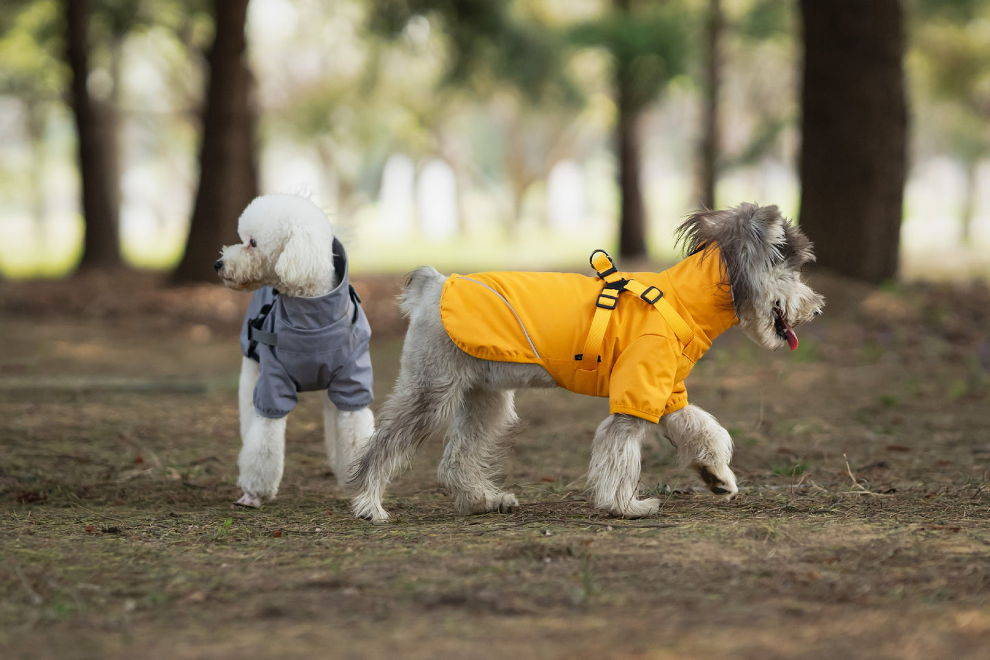 V.PET.BR Dog Raincoat Waterproof Harness-Compatible with Reflective Strips - Adjustable Pet Rain Jacket for Small Dogs (Teddy/Poodle/Chihuahua) 6 Sizes Available