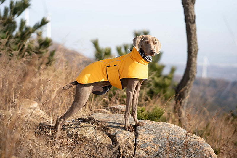 V·PET·B·R Waterproof Dog Winter Coat - Windproof Fleece-Lined Parka with High Neck for Small to Large Dogs (S-2XL) | All-Weather Thermal Cape Jacket