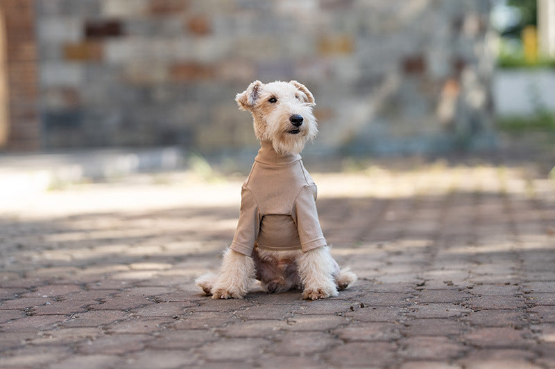 Pet Anti-Shedding Four-Legged Clothes Solid Color Warm Comfortable Dog Clothes Skin-Friendly Multi-Color Four Seasons Base Shirt High Neck Clothes