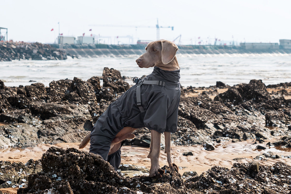 V.PET.BR Adjustable Waterproof Dog Raincoat with Reflective Strips - Full Coverage Paw Protector for Small Breeds (S-3XL)