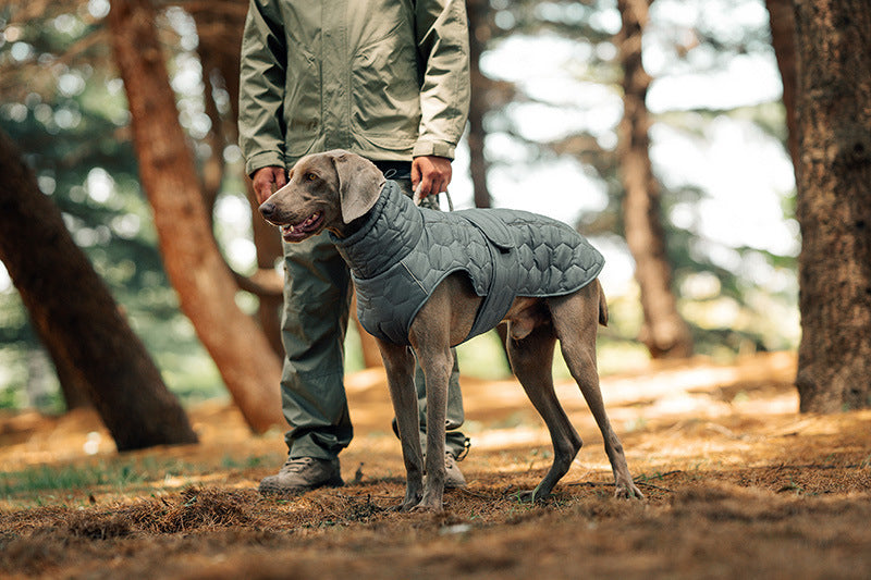 V.PET.BR Winter Reflective Dog Vest - Water-Resistant Thermal Coat for Large Dogs | All Weather Protection with Adjustable Straps (S-2XL)