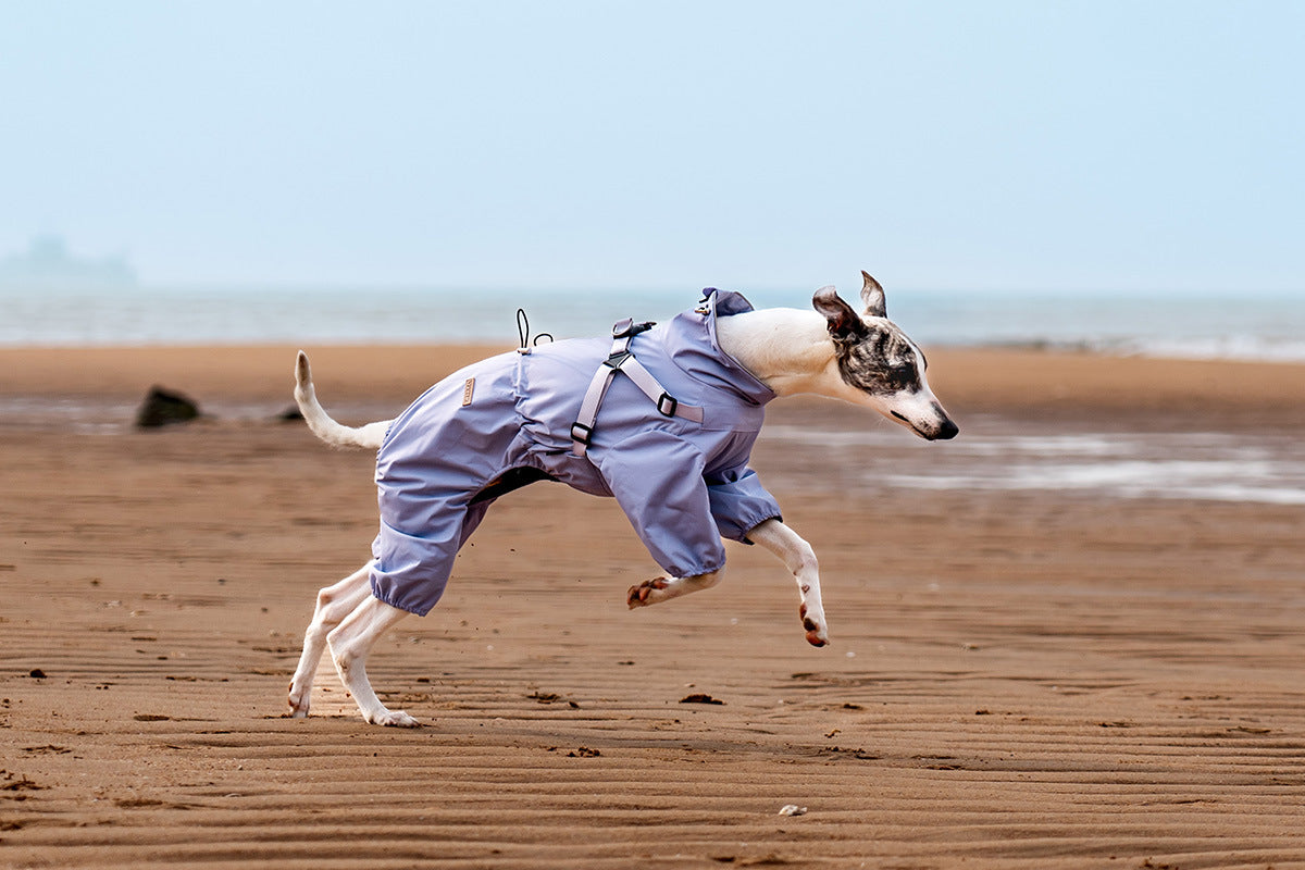 V.PET.BR Adjustable Waterproof Dog Raincoat with Reflective Strips - Full Coverage Paw Protector for Small Breeds (S-3XL)
