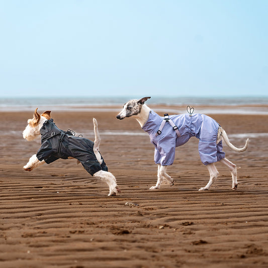 V.PET.BR Adjustable Waterproof Dog Raincoat with Reflective Strips - Full Coverage Paw Protector for Small Breeds (S-3XL)
