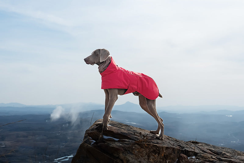 V·PET·B·R Waterproof Dog Winter Coat - Windproof Fleece-Lined Parka with High Neck for Small to Large Dogs (S-2XL) | All-Weather Thermal Cape Jacket
