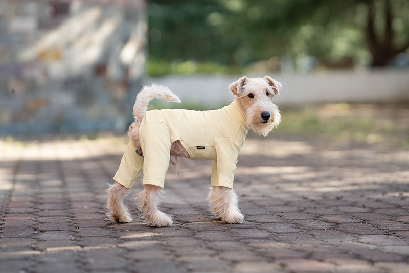 Pet Anti-Shedding Four-Legged Clothes Solid Color Warm Comfortable Dog Clothes Skin-Friendly Multi-Color Four Seasons Base Shirt High Neck Clothes