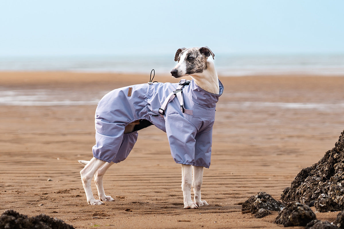 V.PET.BR Adjustable Waterproof Dog Raincoat with Reflective Strips - Full Coverage Paw Protector for Small Breeds (S-3XL)