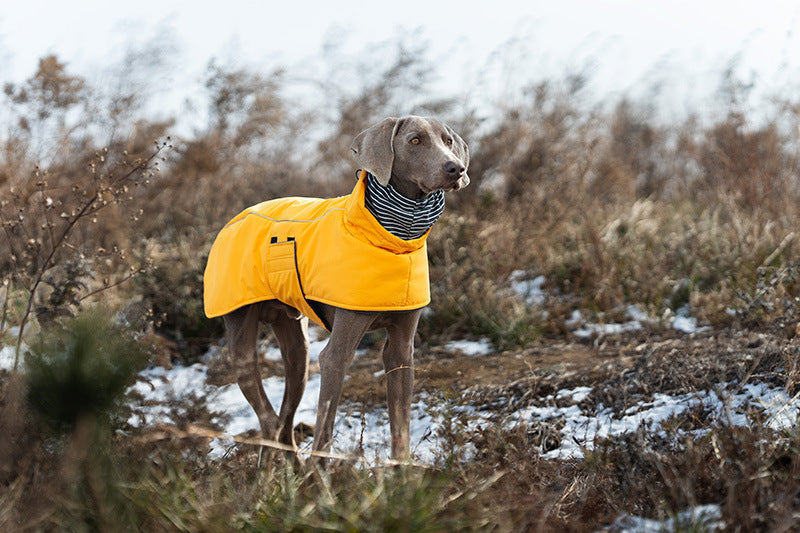 V·PET·B·R Waterproof Dog Winter Coat - Windproof Fleece-Lined Parka with High Neck for Small to Large Dogs (S-2XL) | All-Weather Thermal Cape Jacket