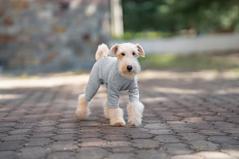 Pet Anti-Shedding Four-Legged Clothes Solid Color Warm Comfortable Dog Clothes Skin-Friendly Multi-Color Four Seasons Base Shirt High Neck Clothes