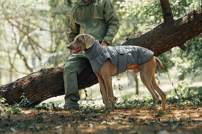 V.PET.BR Winter Reflective Dog Vest - Water-Resistant Thermal Coat for Large Dogs | All Weather Protection with Adjustable Straps (S-2XL)