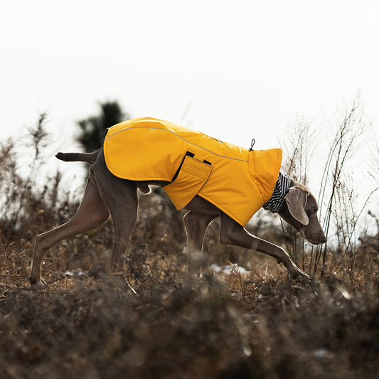 V·PET·B·R Waterproof Dog Winter Coat - Windproof Fleece-Lined Parka with High Neck for Small to Large Dogs (S-2XL) | All-Weather Thermal Cape Jacket