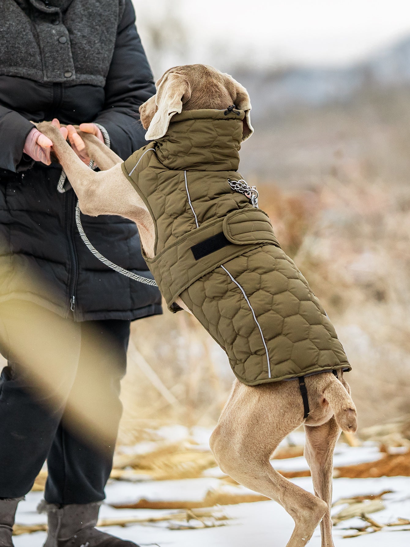 V.PET.BR Winter Reflective Dog Vest - Water-Resistant Thermal Coat for Large Dogs | All Weather Protection with Adjustable Straps (S-2XL)