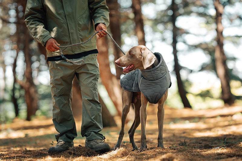 V.PET.BR Winter Reflective Dog Vest - Water-Resistant Thermal Coat for Large Dogs | All Weather Protection with Adjustable Straps (S-2XL)