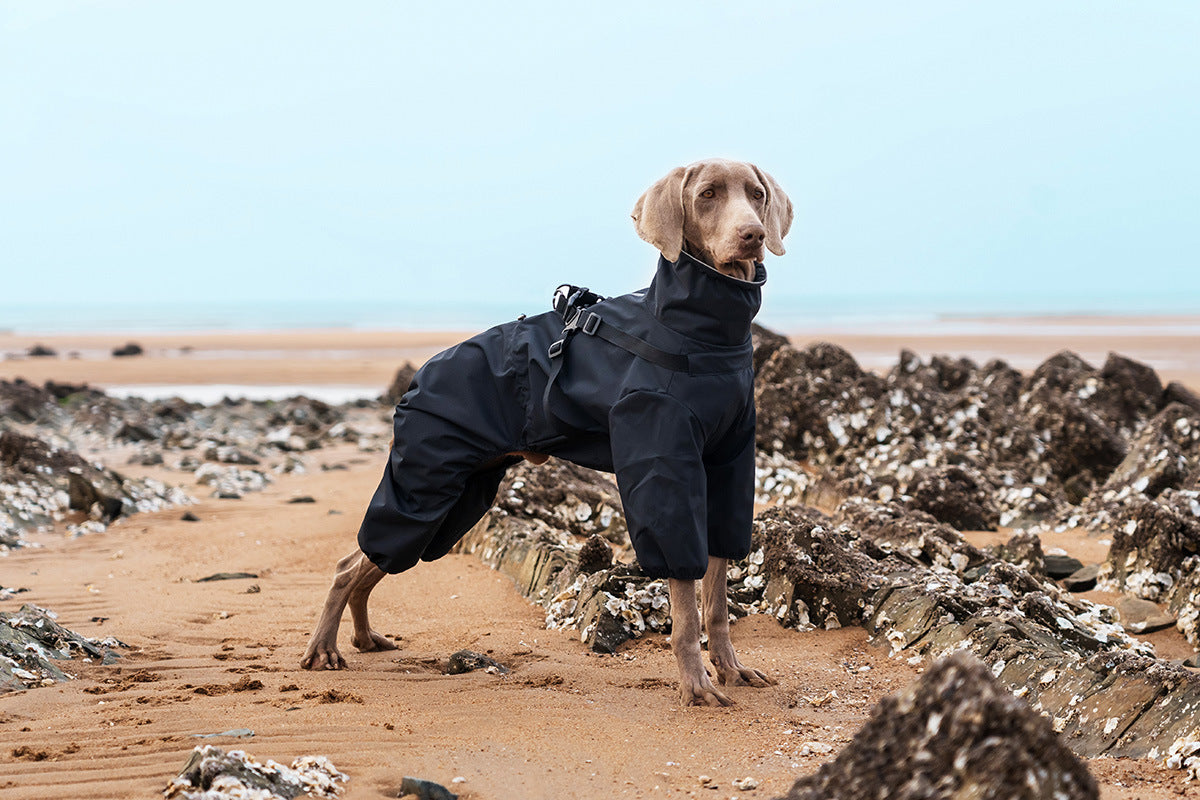 V.PET.BR Adjustable Waterproof Dog Raincoat with Reflective Strips - Full Coverage Paw Protector for Small Breeds (S-3XL)