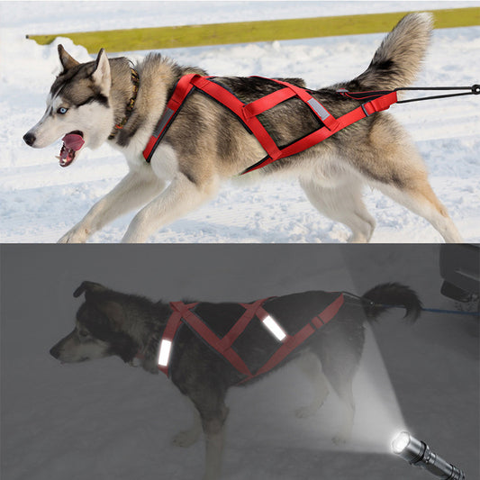V.PET.BR Reflective Dog Sledding Harness - Heavy-Duty Nylon Chest Harness for Skiing, Pulling & Outdoor Activities (5 Sizes, Night Safety)