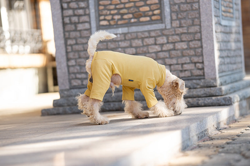 Pet Anti-Shedding Four-Legged Clothes Solid Color Warm Comfortable Dog Clothes Skin-Friendly Multi-Color Four Seasons Base Shirt High Neck Clothes