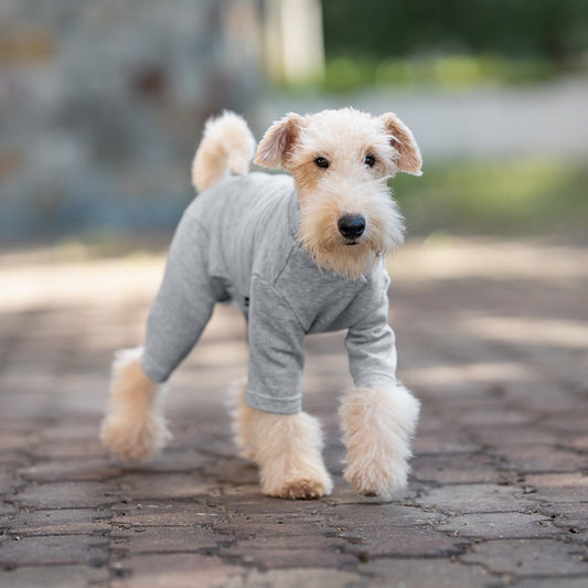 Pet Anti-Shedding Four-Legged Clothes Solid Color Warm Comfortable Dog Clothes Skin-Friendly Multi-Color Four Seasons Base Shirt High Neck Clothes