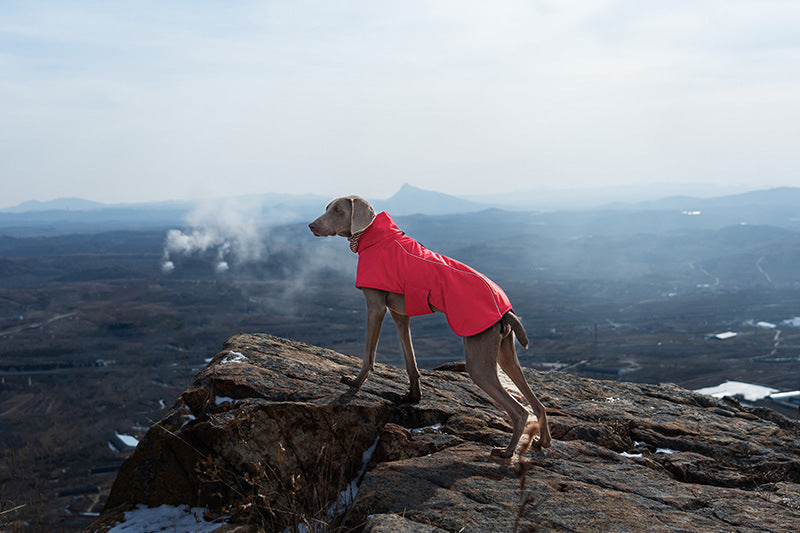 V·PET·B·R Waterproof Dog Winter Coat - Windproof Fleece-Lined Parka with High Neck for Small to Large Dogs (S-2XL) | All-Weather Thermal Cape Jacket