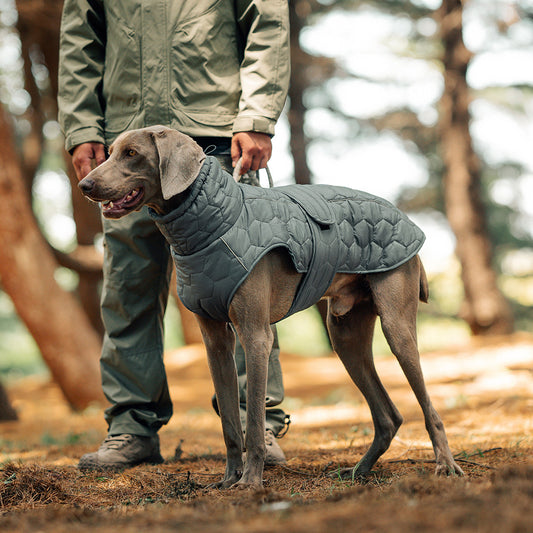 V.PET.BR Winter Reflective Dog Vest - Water-Resistant Thermal Coat for Large Dogs | All Weather Protection with Adjustable Straps (S-2XL)