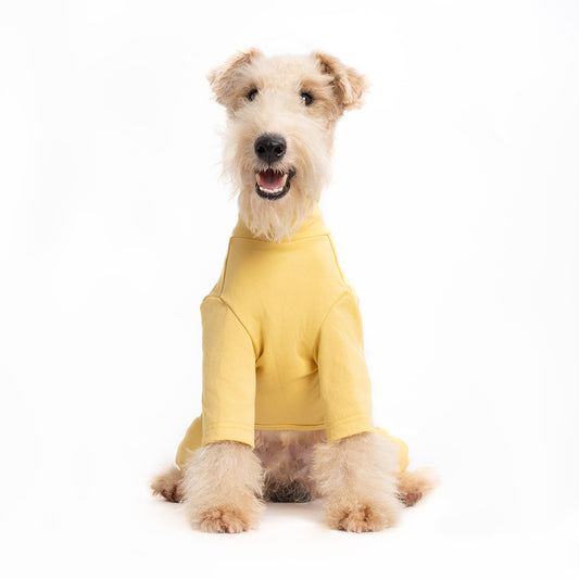 Pet Anti-Shedding Four-Legged Clothes Solid Color Warm Comfortable Dog Clothes Skin-Friendly Multi-Color Four Seasons Base Shirt High Neck Clothes