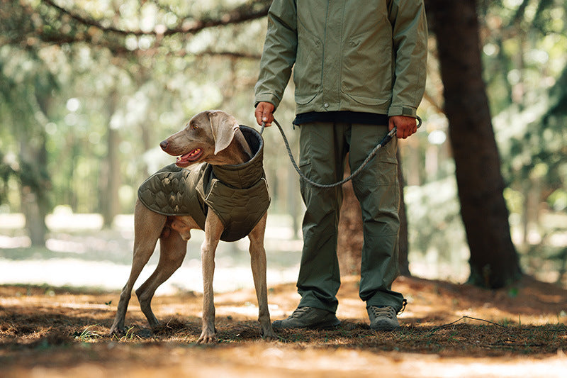 V.PET.BR Winter Reflective Dog Vest - Water-Resistant Thermal Coat for Large Dogs | All Weather Protection with Adjustable Straps (S-2XL)