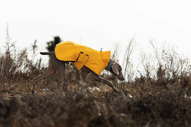 V·PET·B·R Waterproof Dog Winter Coat - Windproof Fleece-Lined Parka with High Neck for Small to Large Dogs (S-2XL) | All-Weather Thermal Cape Jacket